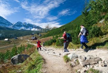 Tours & Experiences